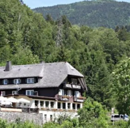 Waldeck In トートナウ